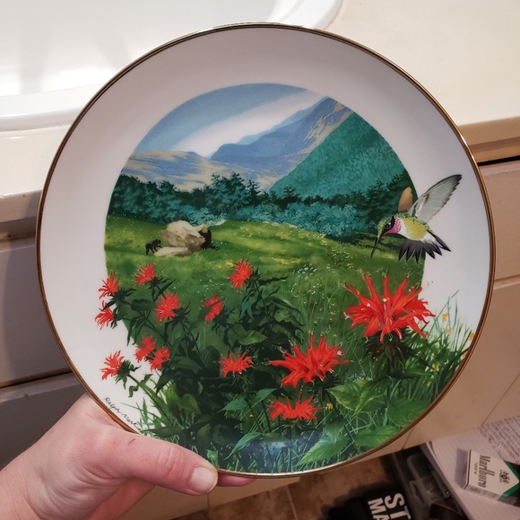 Hummingbird Collectors Plate